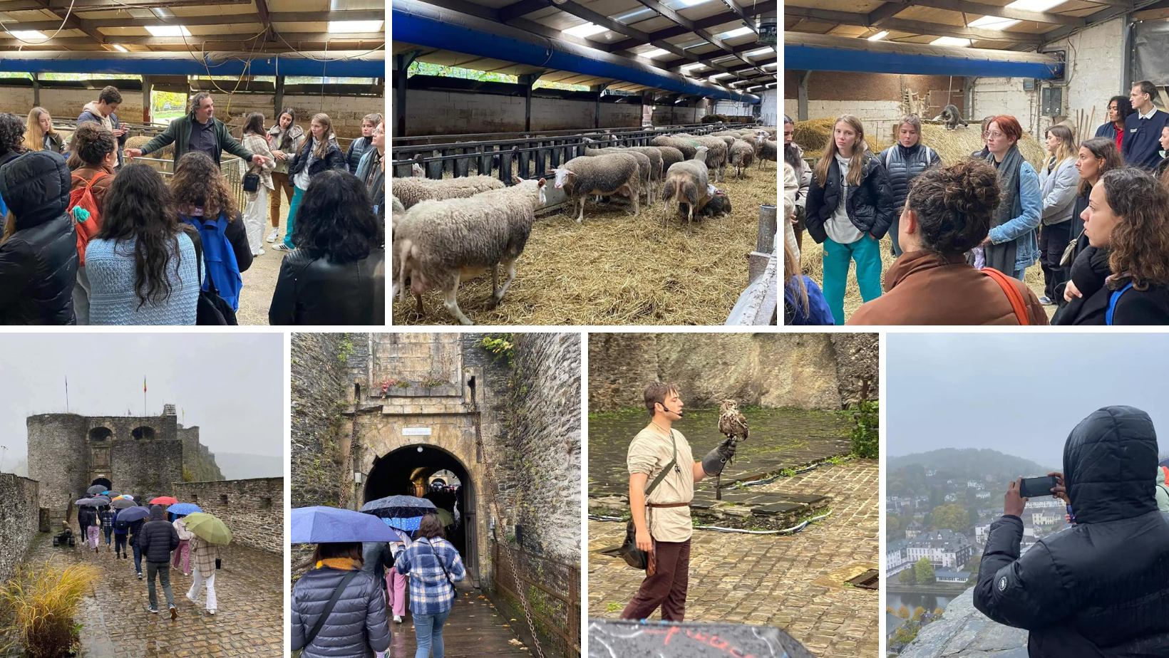 Cultural Activity - Octobre 2022.png