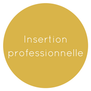 insertion professionnelle