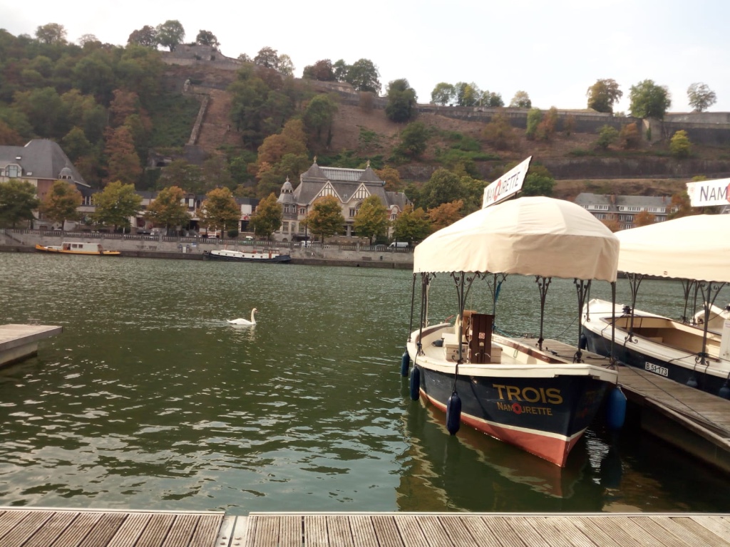 thumb_97fb4c3a-9b20-4401-a9ad-1e73e3d5a8e8_1024 2.jpg